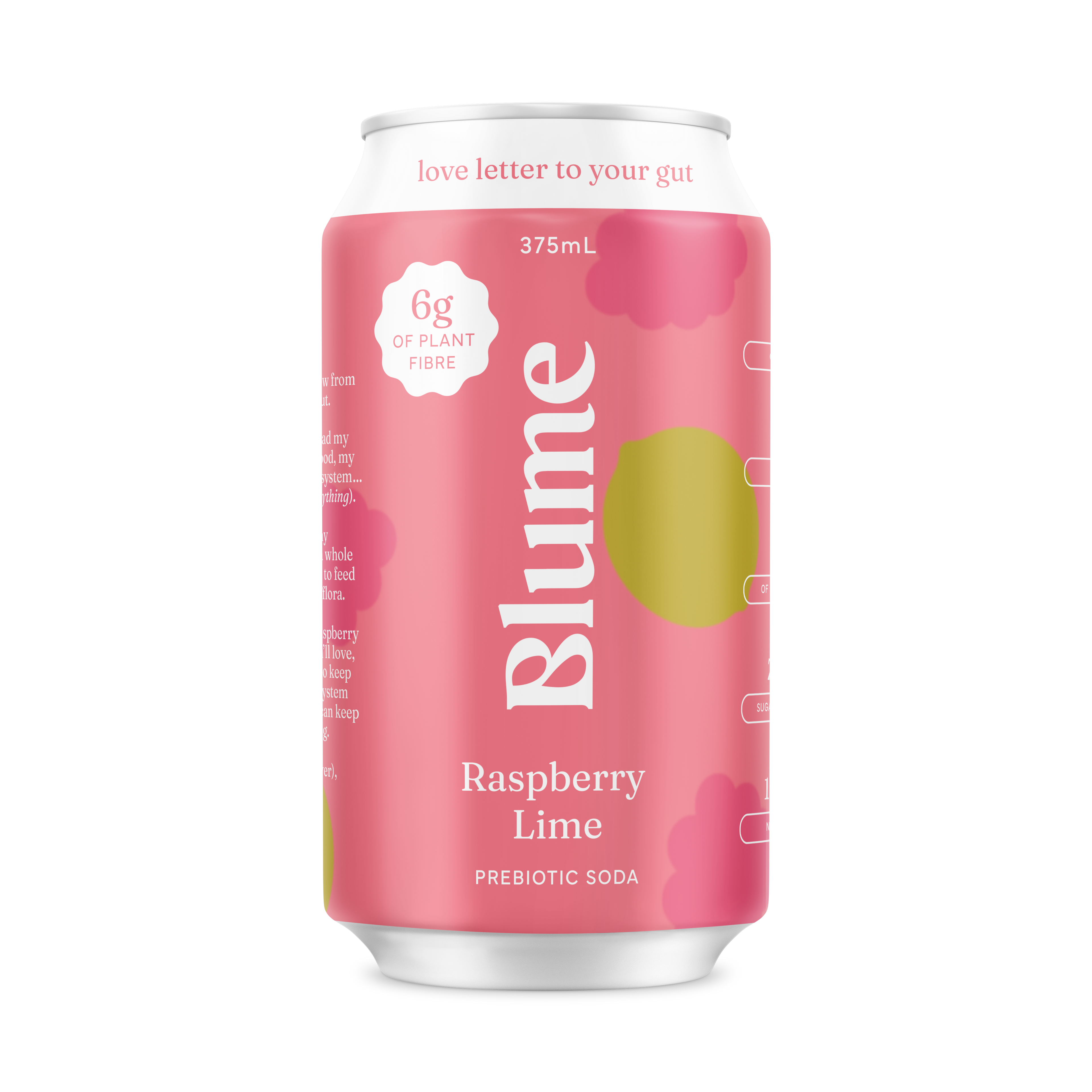 Raspberry Lime Prebiotic Soda